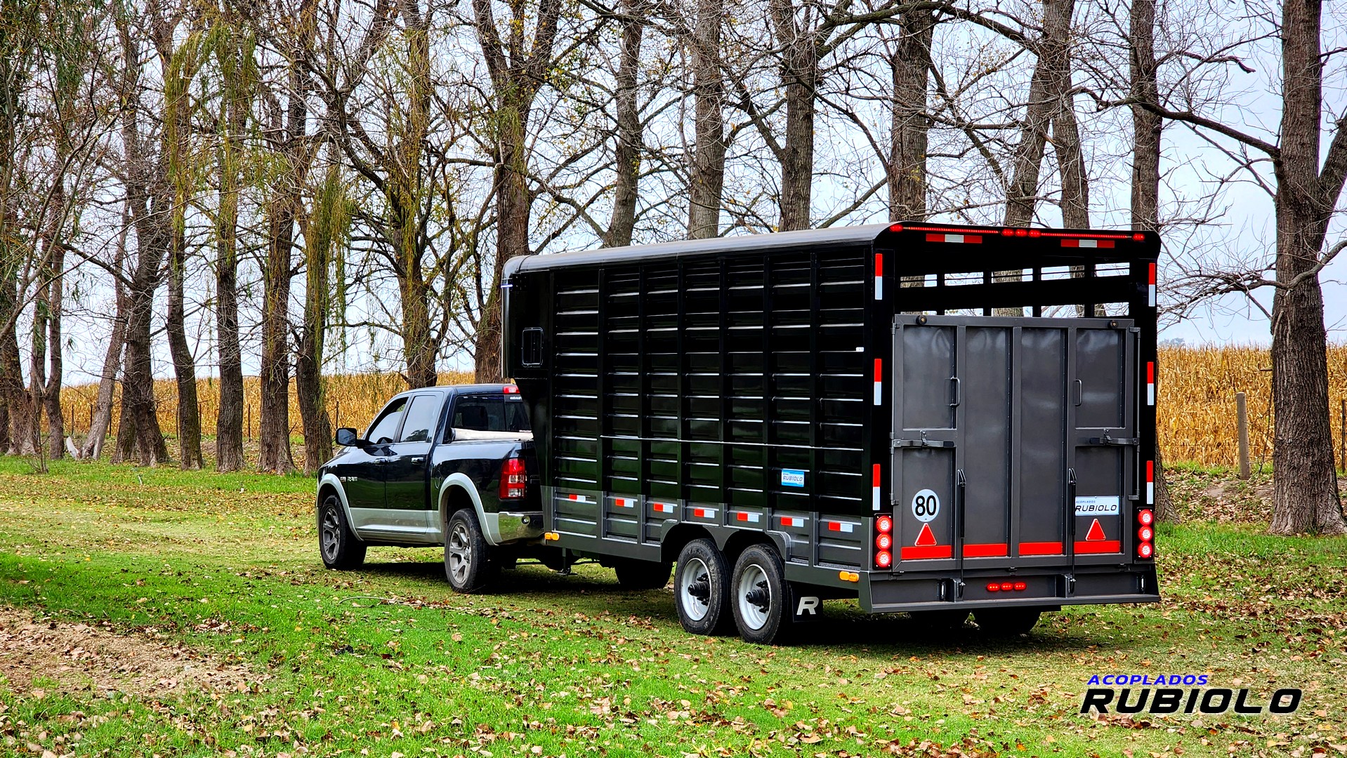 Trailer Semirremolque Homologado para caballos Estilo Americano (JA1014-S)