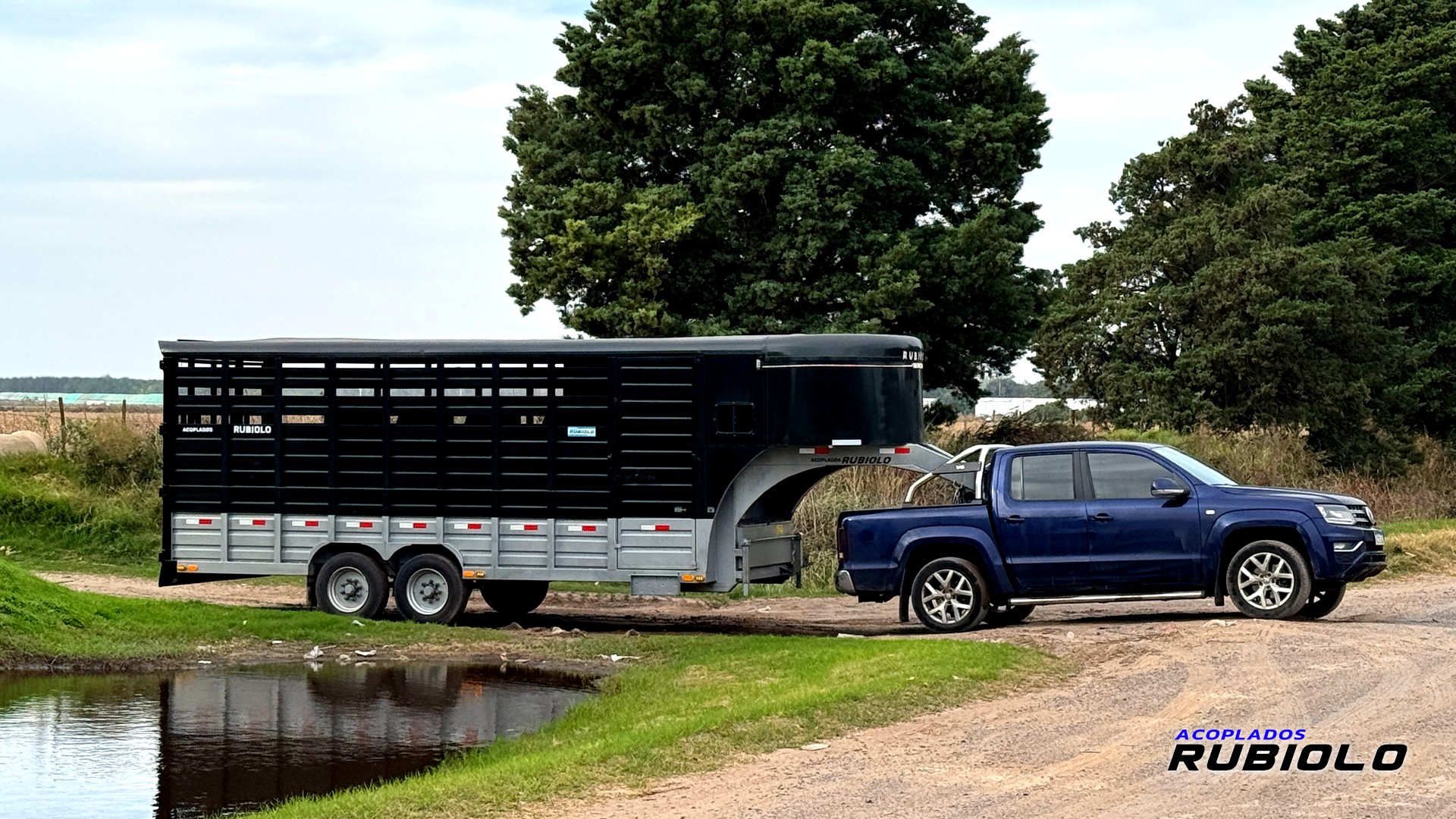 Trailer Semirremolque Homologado para caballos Estilo Americano (JA1021-S)